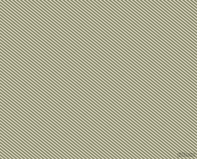 141 degree angle lines stripes, 2 pixel line width, 3 pixel line spacing, Travertine and Bitter angled lines and stripes seamless tileable