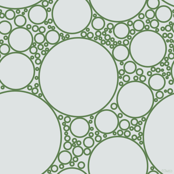 bubbles, circles, sponge, big, medium, small, 5 pixel line width, circles bubbles sponge soap seamless tileable