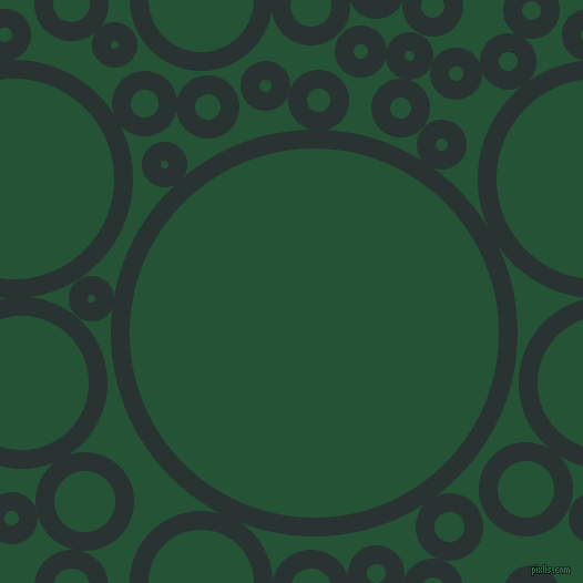 bubbles, circles, sponge, big, medium, small, 17 pixel line width, Aztec and Kaitoke Green circles bubbles sponge soap seamless tileable