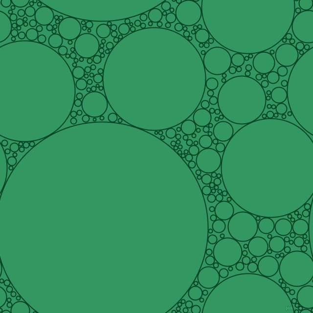 bubbles, circles, sponge, big, medium, small, 2 pixel line width, British Racing Green and Eucalyptus circles bubbles sponge soap seamless tileable
