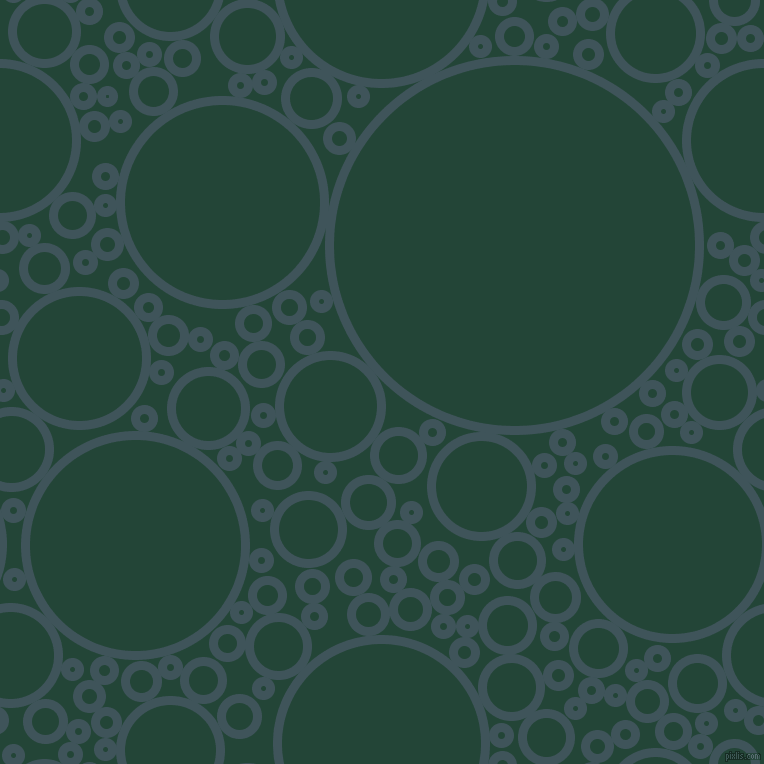 bubbles, circles, sponge, big, medium, small, 9 pixel line width, Casal and Burnham circles bubbles sponge soap seamless tileable
