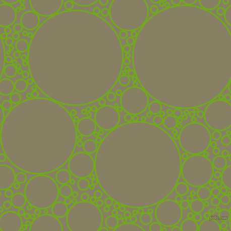 bubbles, circles, sponge, big, medium, small, 3 pixel line width, Christi and Olive Haze circles bubbles sponge soap seamless tileable