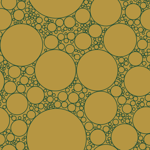 bubbles, circles, sponge, big, medium, small, 2 pixel line width, County Green and Roti circles bubbles sponge soap seamless tileable