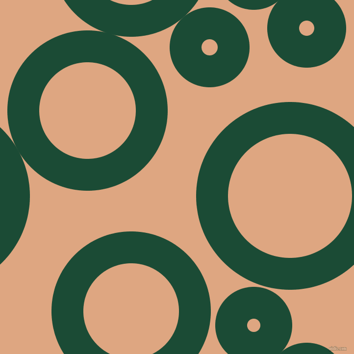 bubbles, circles, sponge, big, medium, small, 65 pixel line width, County Green and Tumbleweed circles bubbles sponge soap seamless tileable