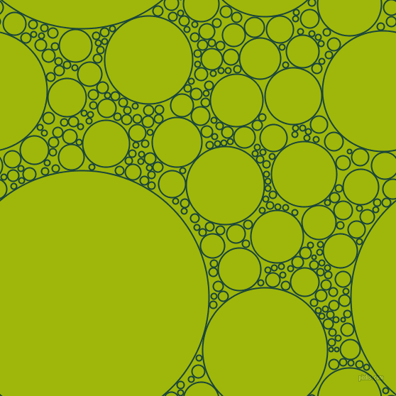 bubbles, circles, sponge, big, medium, small, 2 pixel line width, Deep Teal and Citrus circles bubbles sponge soap seamless tileable