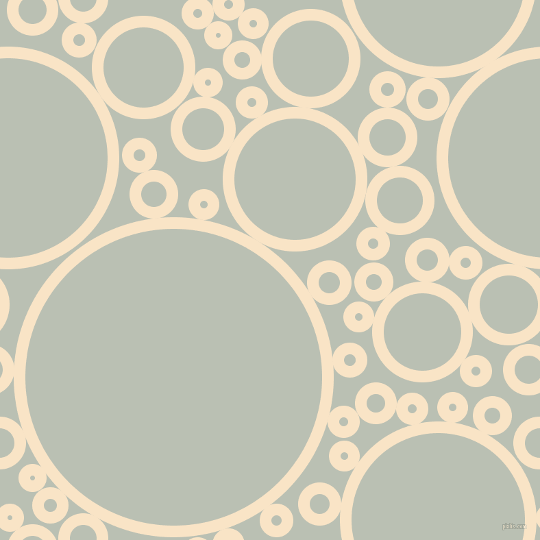 bubbles, circles, sponge, big, medium, small, 17 pixel line width, Derby and Tasman circles bubbles sponge soap seamless tileable