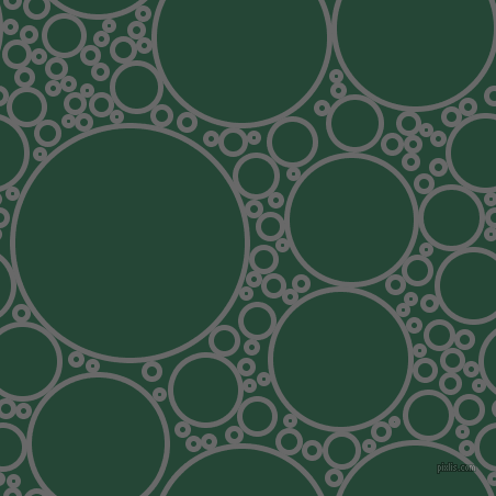 bubbles, circles, sponge, big, medium, small, 5 pixel line width, Dim Gray and Bottle Green circles bubbles sponge soap seamless tileable