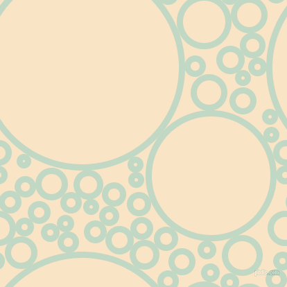 bubbles, circles, sponge, big, medium, small, 9 pixel line width, Edgewater and Egg Sour circles bubbles sponge soap seamless tileable