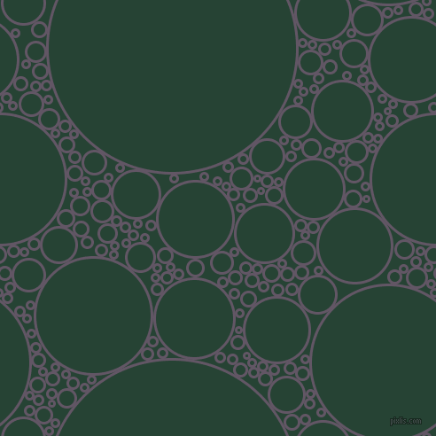 bubbles, circles, sponge, big, medium, small, 3 pixel line width, Fedora and Everglade circles bubbles sponge soap seamless tileable