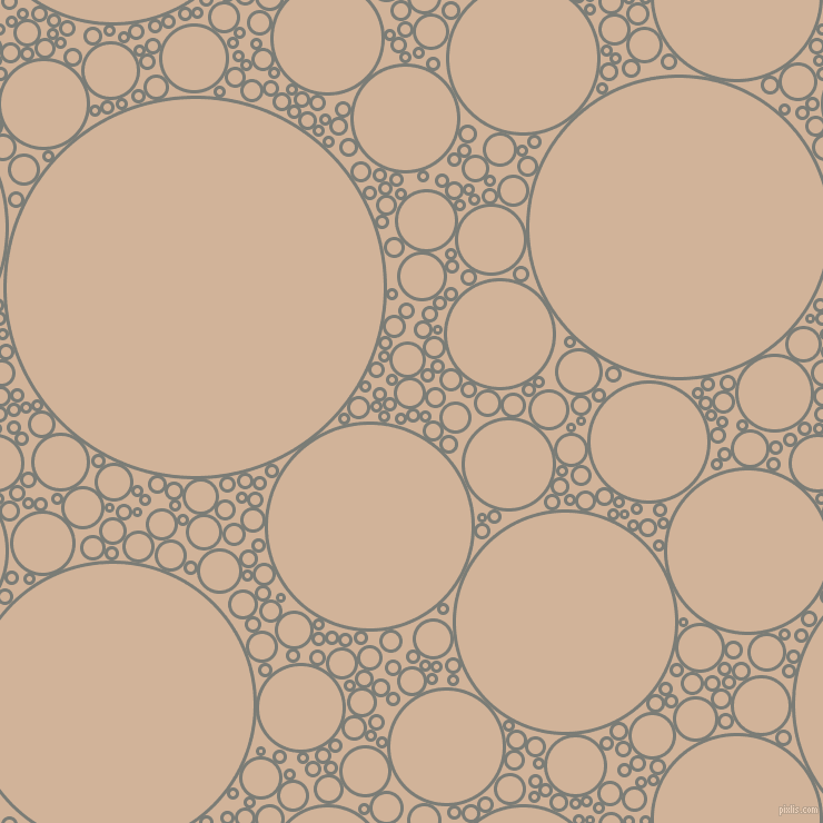 bubbles, circles, sponge, big, medium, small, 3 pixel line width, Gunsmoke and Cashmere circles bubbles sponge soap seamless tileable