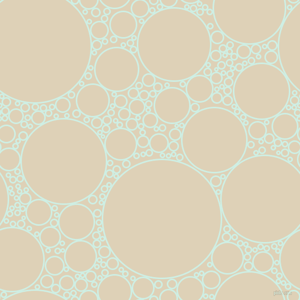 bubbles, circles, sponge, big, medium, small, 3 pixel line width, Humming Bird and Spanish White circles bubbles sponge soap seamless tileable