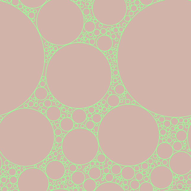 bubbles, circles, sponge, big, medium, small, 2 pixel line width, Mint Green and Clam Shell circles bubbles sponge soap seamless tileable