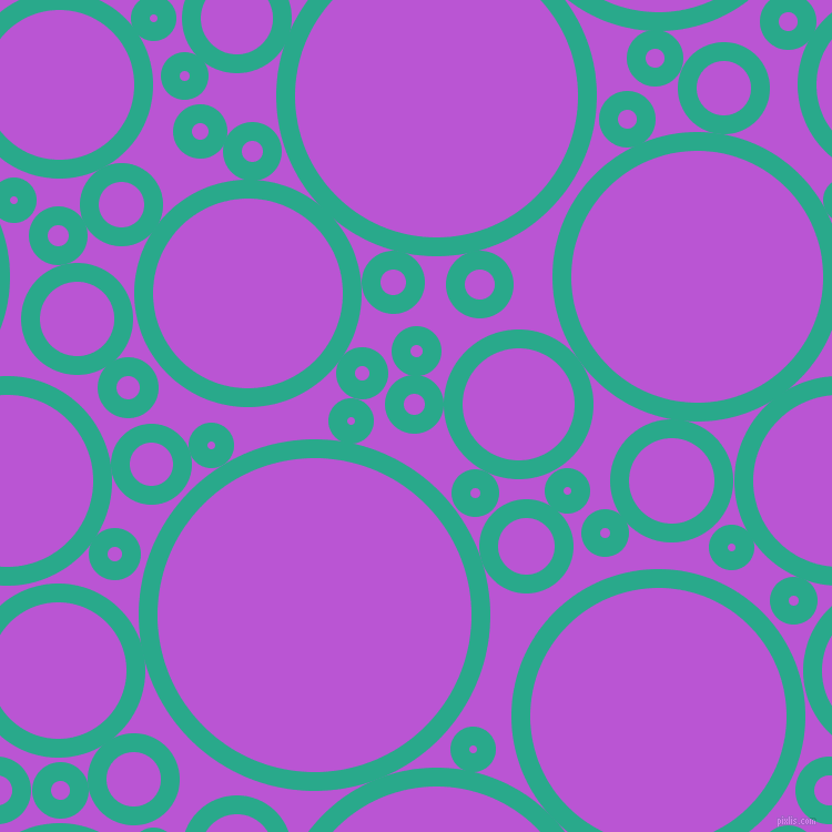 bubbles, circles, sponge, big, medium, small, 17 pixel line width, Niagara and Medium Orchid circles bubbles sponge soap seamless tileable