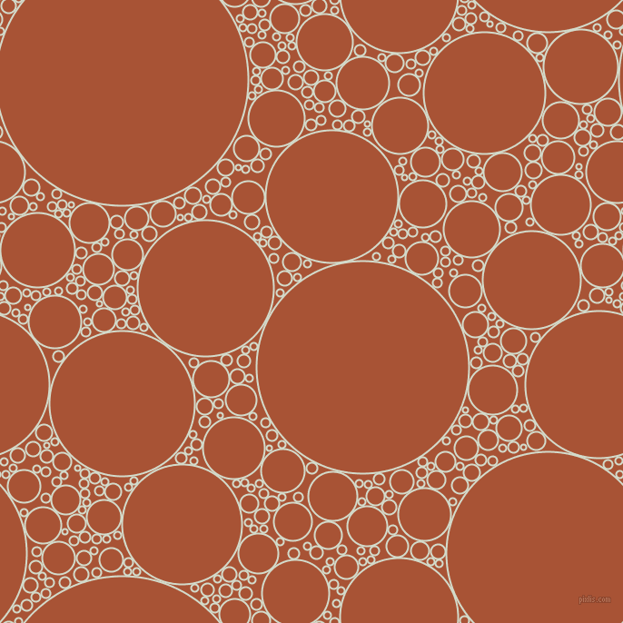 bubbles, circles, sponge, big, medium, small, 2 pixel line width, Ottoman and Orange Roughy circles bubbles sponge soap seamless tileable