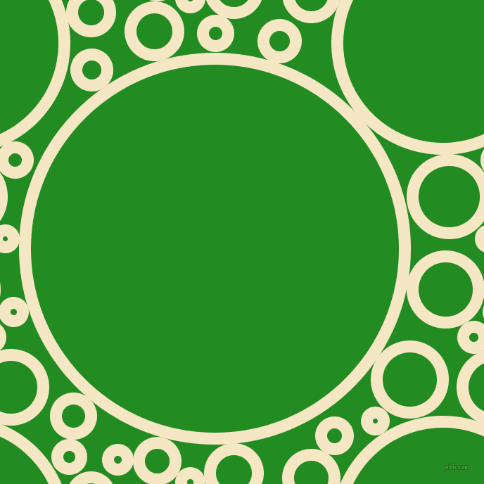 bubbles, circles, sponge, big, medium, small, 17 pixel line width, Pipi and Forest Green circles bubbles sponge soap seamless tileable