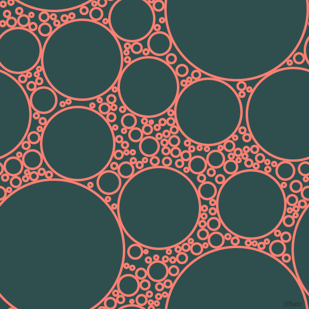 bubbles, circles, sponge, big, medium, small, 5 pixel line width, Salmon and Dark Slate Grey circles bubbles sponge soap seamless tileable