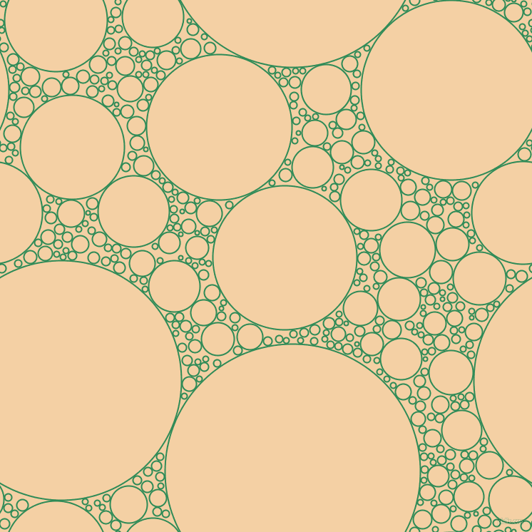 bubbles, circles, sponge, big, medium, small, 2 pixel line width, Sea Green and Tequila circles bubbles sponge soap seamless tileable