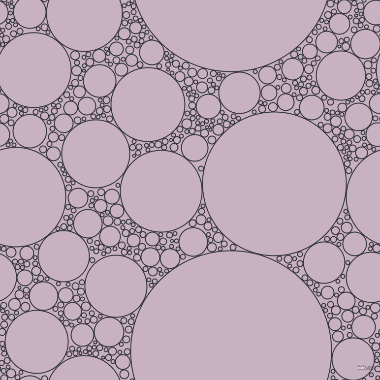 bubbles, circles, sponge, big, medium, small, 2 pixel line width, Shark and Maverick circles bubbles sponge soap seamless tileable