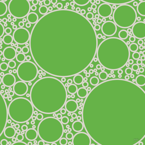 bubbles, circles, sponge, big, medium, small, 5 pixel line width, White Pointer and Apple circles bubbles sponge soap seamless tileable