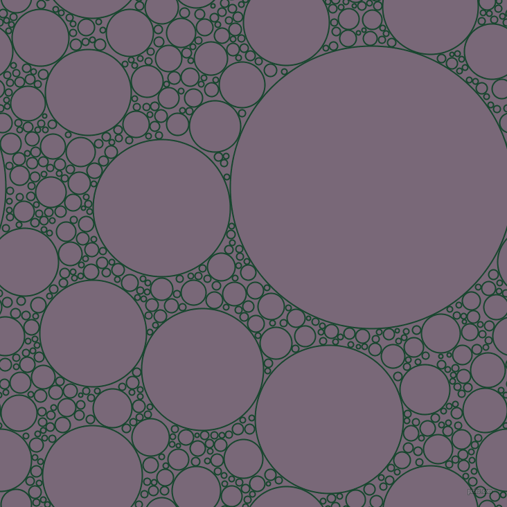 bubbles, circles, sponge, big, medium, small, 2 pixel line width, Zuccini and Old Lavender circles bubbles sponge soap seamless tileable