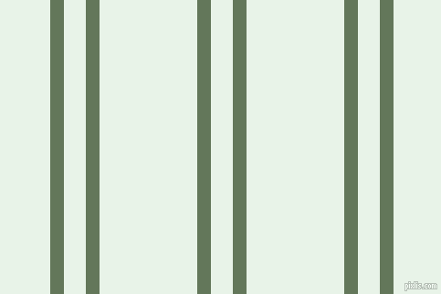 vertical dual line striped, 15 pixel line width, 24 and 107 pixel line spacing, dual two line striped seamless tileable