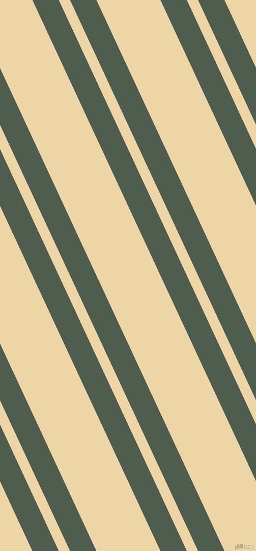 115 degree angles dual stripe lines, 47 pixel lines width, 20 and 114 pixels line spacing, dual two line striped seamless tileable