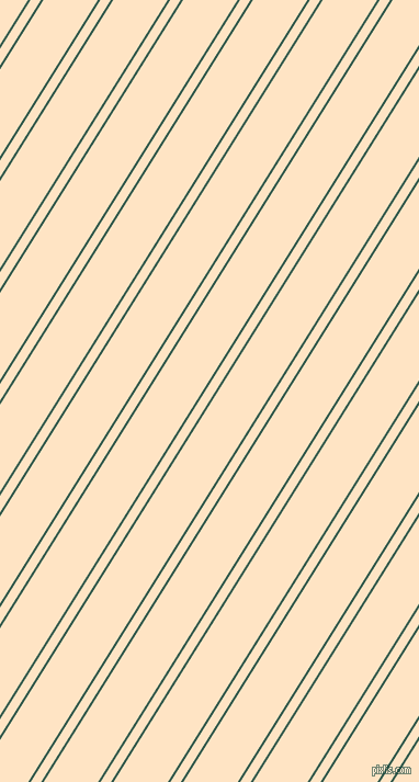 58 degree angles dual stripe lines, 2 pixel lines width, 8 and 42 pixels line spacing, dual two line striped seamless tileable