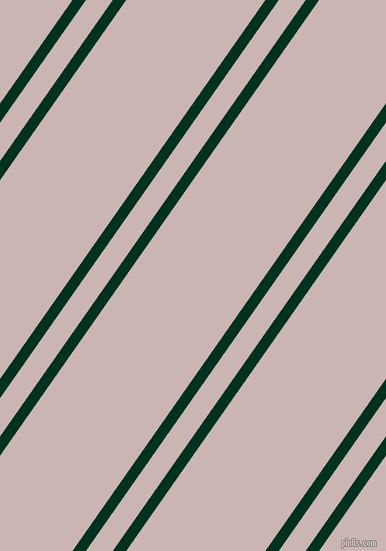 55 degree angle dual striped line, 11 pixel line width, 22 and 114 pixel line spacing, dual two line striped seamless tileable