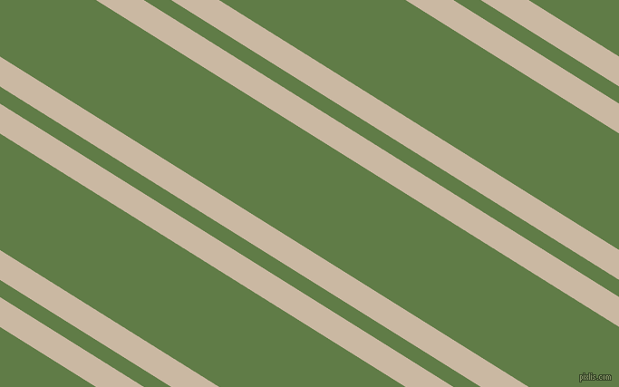 148 degree angle dual stripes lines, 28 pixel lines width, 16 and 109 pixel line spacing, dual two line striped seamless tileable