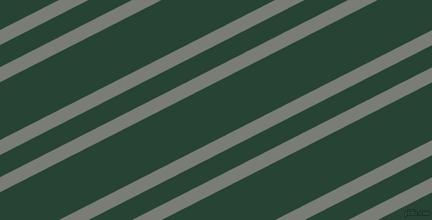 27 degree angles dual striped lines, 19 pixel lines width, 28 and 73 pixels line spacing, dual two line striped seamless tileable