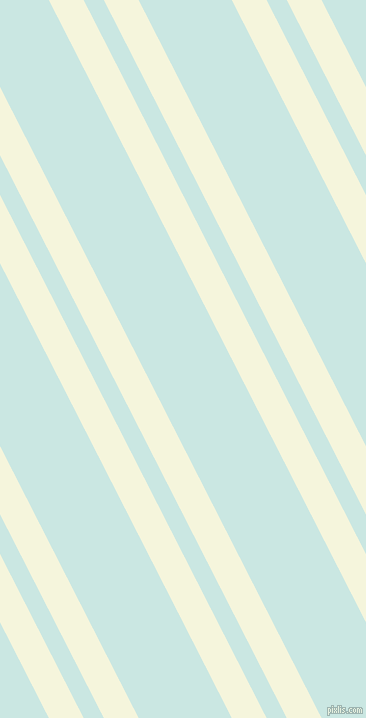 117 degree angle dual stripes lines, 31 pixel lines width, 18 and 83 pixel line spacing, dual two line striped seamless tileable
