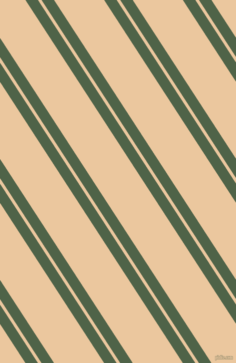 123 degree angle dual striped lines, 21 pixel lines width, 6 and 84 pixel line spacing, dual two line striped seamless tileable