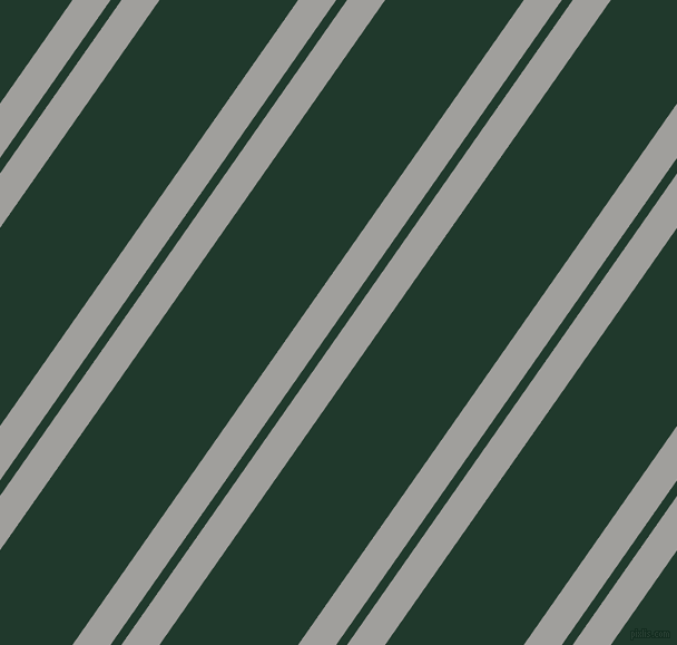 55 degree angles dual stripes lines, 28 pixel lines width, 8 and 102 pixels line spacing, dual two line striped seamless tileable