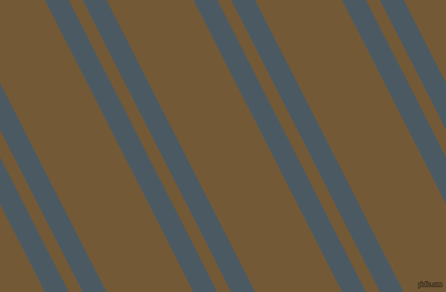 117 degree angle dual stripes lines, 31 pixel lines width, 18 and 113 pixel line spacing, dual two line striped seamless tileable