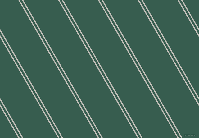 120 degree angles dual stripes lines, 4 pixel lines width, 6 and 97 pixels line spacing, dual two line striped seamless tileable