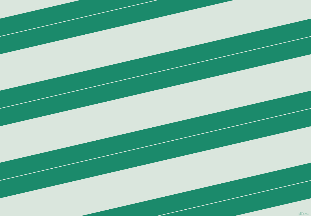 13 degree angle dual stripe line, 59 pixel line width, 2 and 123 pixel line spacing, dual two line striped seamless tileable