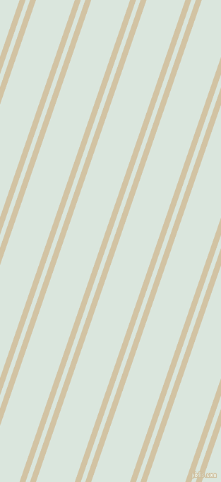 71 degree angle dual stripe lines, 8 pixel lines width, 6 and 52 pixel line spacing, dual two line striped seamless tileable