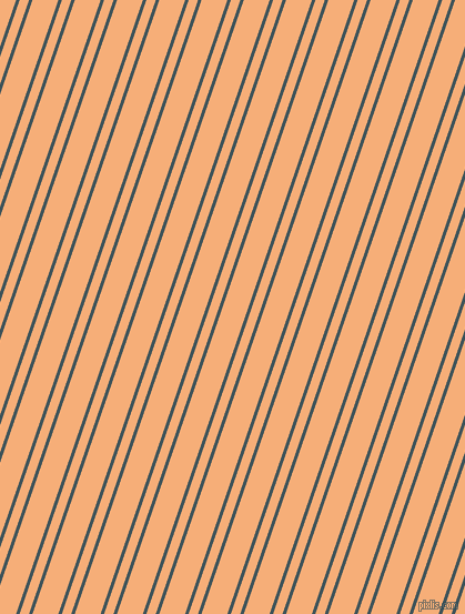 71 degree angles dual stripes line, 3 pixel line width, 8 and 22 pixels line spacing, dual two line striped seamless tileable