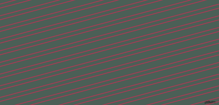 15 degree angles dual striped line, 3 pixel line width, 10 and 22 pixels line spacing, dual two line striped seamless tileable