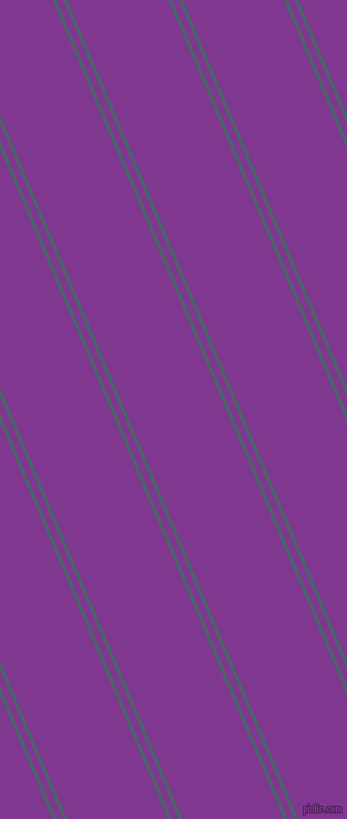 113 degree angles dual stripes lines, 3 pixel lines width, 6 and 84 pixels line spacing, dual two line striped seamless tileable