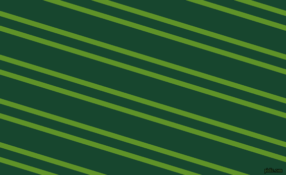 163 degree angles dual striped line, 10 pixel line width, 18 and 45 pixels line spacing, dual two line striped seamless tileable