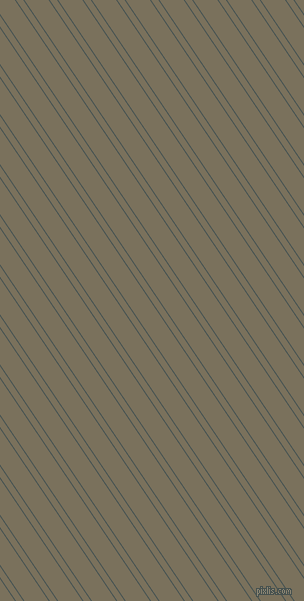 124 degree angles dual stripe line, 1 pixel line width, 6 and 20 pixels line spacing, Dark Slate and Pablo dual two line striped seamless tileable