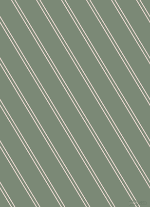 121 degree angle dual striped lines, 2 pixel lines width, 4 and 36 pixel line spacing, Dawn Pink and Spanish Green dual two line striped seamless tileable