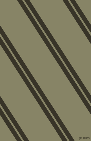 123 degree angles dual striped line, 15 pixel line width, 6 and 97 pixels line spacing, Graphite and Bandicoot dual two line striped seamless tileable