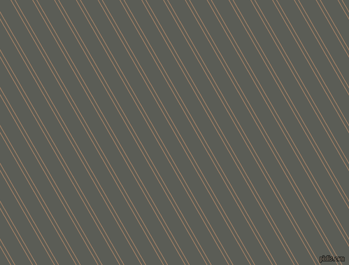 120 degree angles dual striped lines, 1 pixel lines width, 4 and 21 pixels line spacing, Medium Wood and Chicago dual two line striped seamless tileable