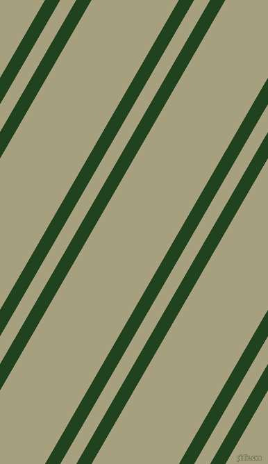 60 degree angle dual striped lines, 19 pixel lines width, 20 and 109 pixel line spacing, Myrtle and Hillary dual two line striped seamless tileable