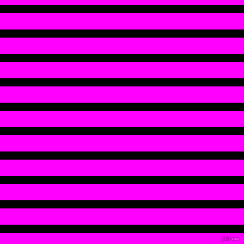 horizontal lines stripes, 16 pixel line width, 32 pixel line spacing, Black and Magenta horizontal lines and stripes seamless tileable