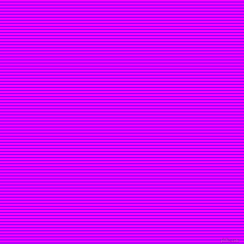 horizontal lines stripes, 2 pixel line width, 4 pixel line spacing, Electric Indigo and Magenta horizontal lines and stripes seamless tileable