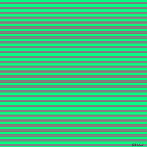 horizontal lines stripes, 8 pixel line width, 8 pixel line spacing, Grey and Spring Green horizontal lines and stripes seamless tileable