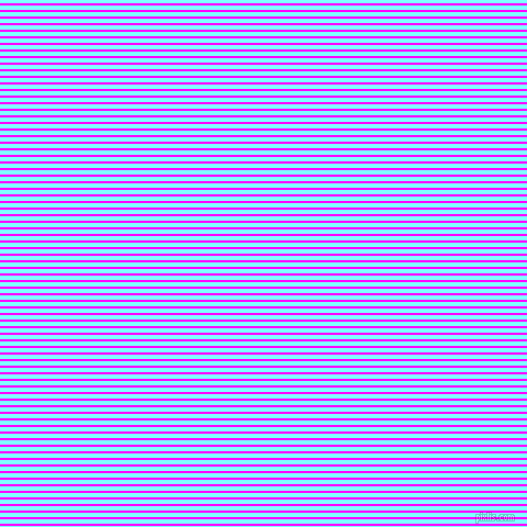 horizontal lines stripes, 2 pixel line width, 4 pixel line spacing, Magenta and Electric Blue horizontal lines and stripes seamless tileable
